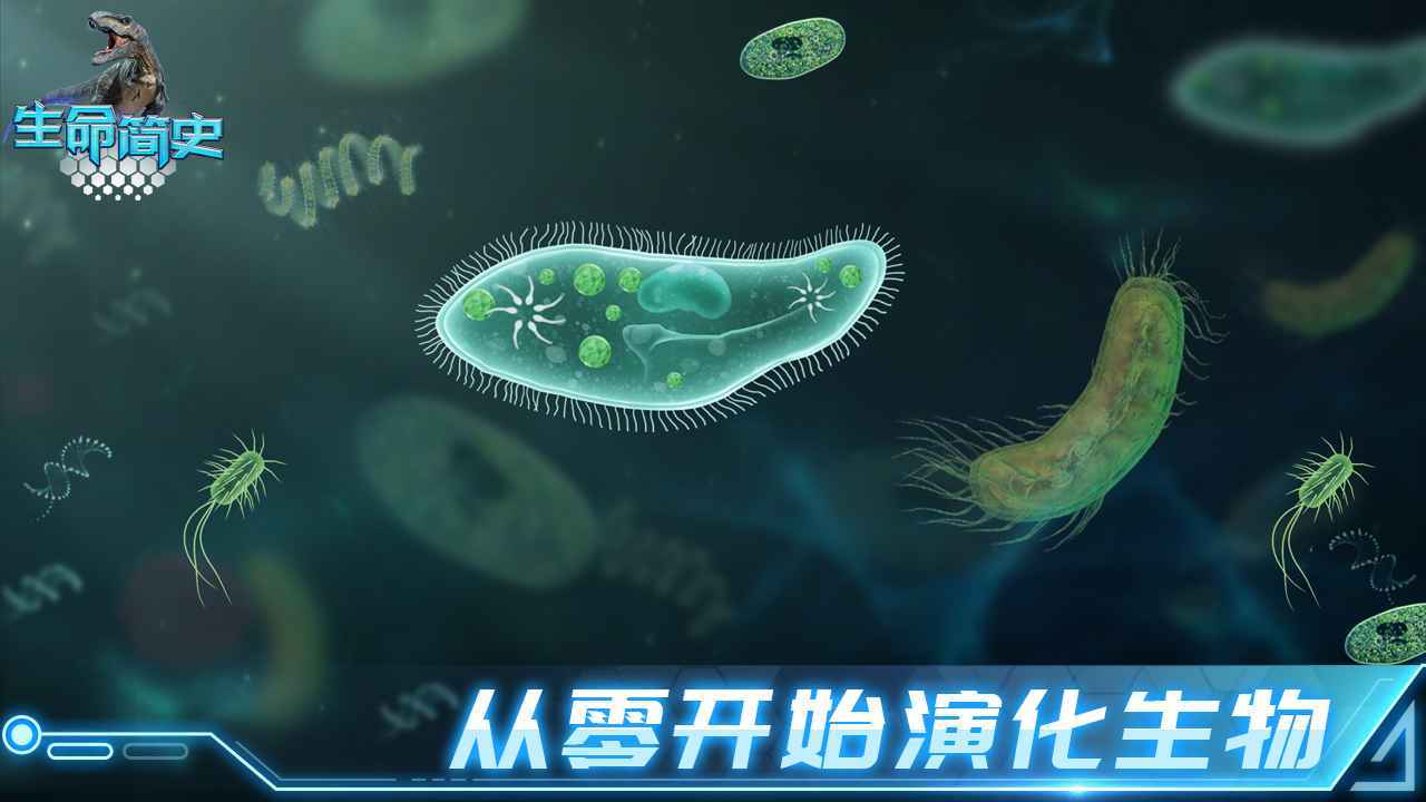 生命简史无敌版