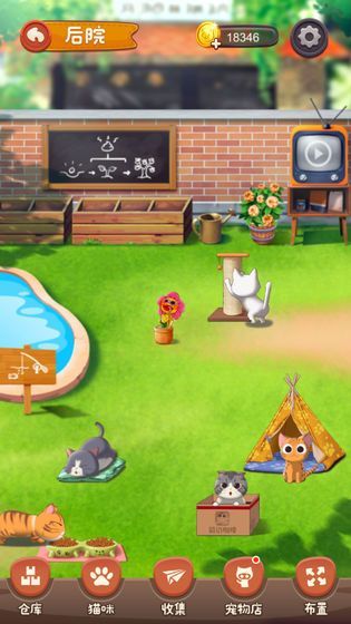 猫语咖啡红包版图2