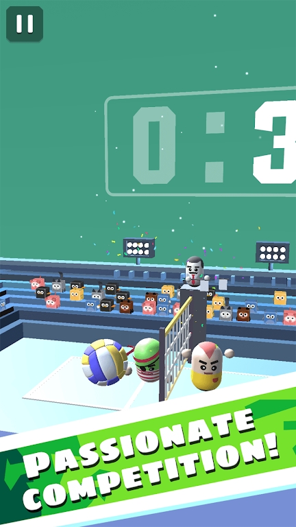 惊奇的3D排球(Amazing Volleyball 3D)游戏无广告版