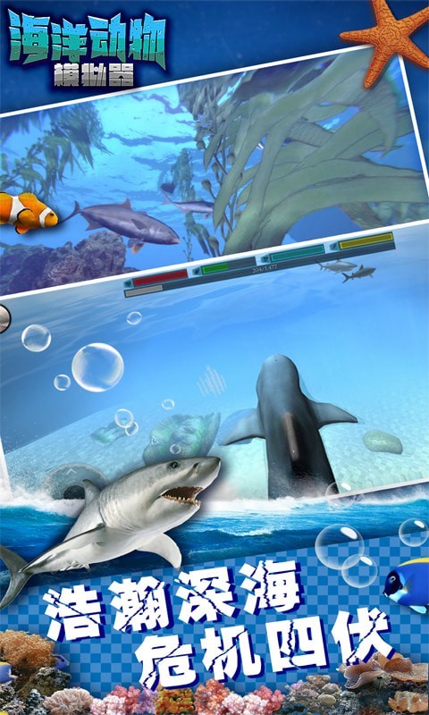 海洋动物模拟器(UltOceanSim)安卓免费版
