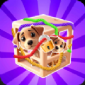 绳索拼图箱子3D(Rescue Knots 3D)手机版