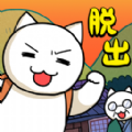 猫与秘宝(ネコと秘密の宝)手机版