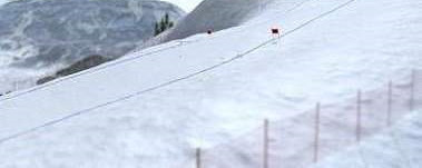高山滑雪竞技场(Alpine Arena)手机正版(2)