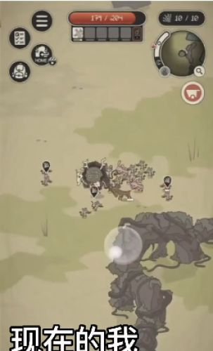 动物森林德鲁伊(动物森林)直装版
