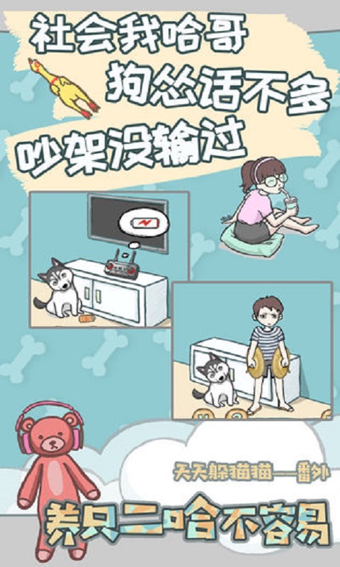 养只二哈不容易最新免费版
