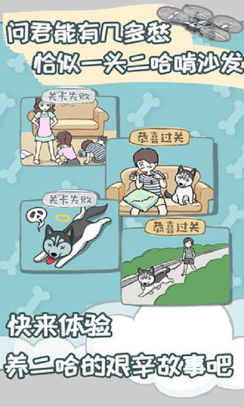 养只二哈不容易最新免费版