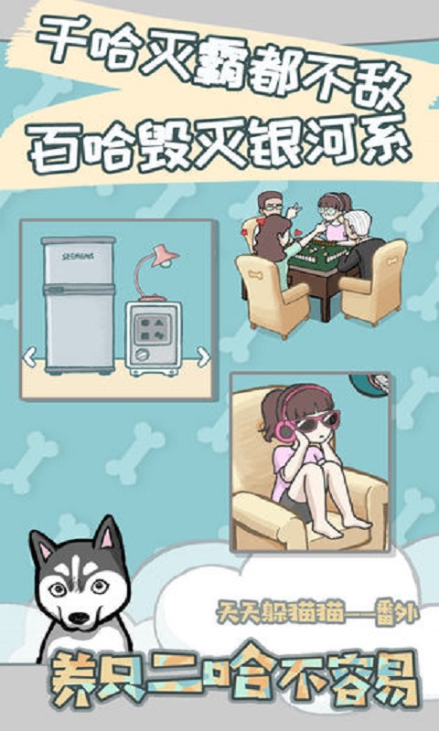 养只二哈不容易最新免费版