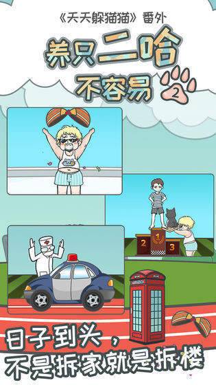 养只二哈不容易2直装版