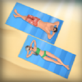 沙滩毛巾分类(TowelSortBeachEdition)无广告版