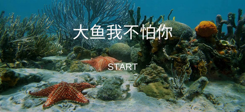 大鱼我不怕你游戏正版
