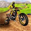 越野自行车锦标赛(Dirt Bike Racing Championship)直装版