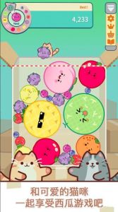 猫和西瓜(Cat & Watermelon)官方正版