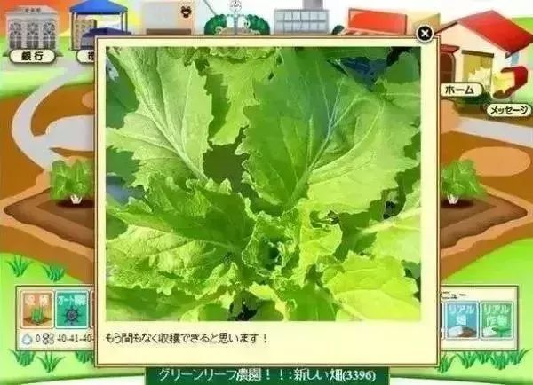 旅游鸡(Traveling Chicken)手机最新版