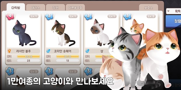 治愈猫咪培育馆(나비냥)游戏纯净版