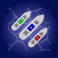 超级大海战(Battleship)游戏最新版