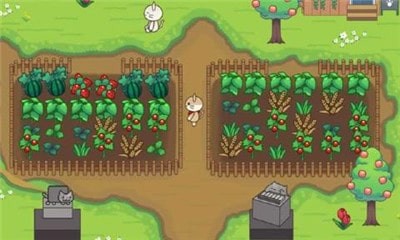 猫猫树林(CatForest)手机免费版