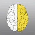 脑洞训练赢在思维手机正版