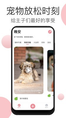 宠物音乐安卓官方版