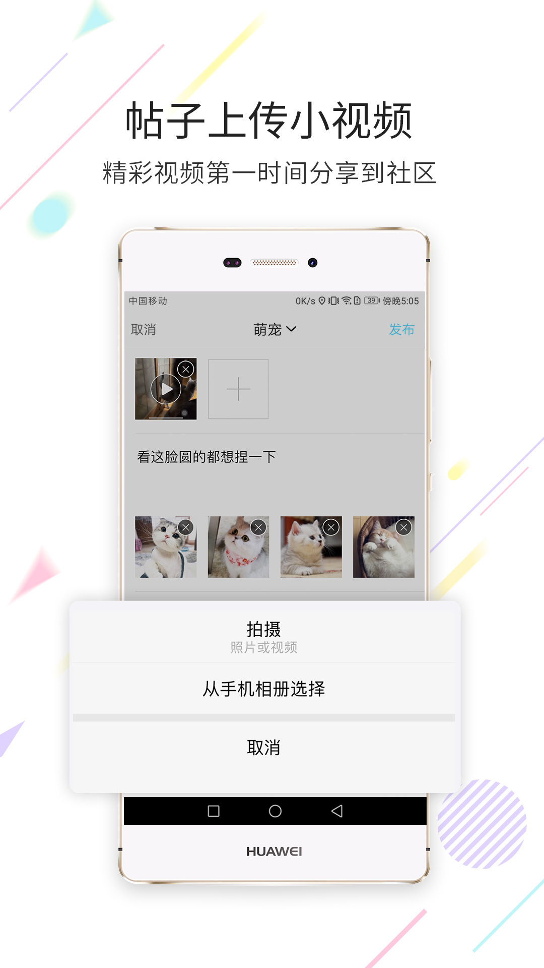 西蜀网手机版