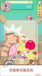 猫和西瓜(Cat & Watermelon)官方正版