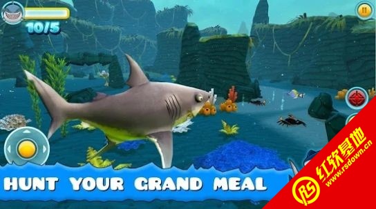 饥饿的鱼吃和成长3D(Hungry Fish Eat And Grow 3D)最新免费版