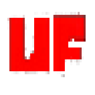 残暴之下原版