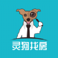 灵狗找房正版