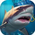 钓鱼冲突狂野(fishing clash:wild)