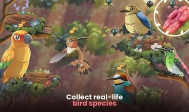 鸟类世界(Bird kind)最新免费版(1)