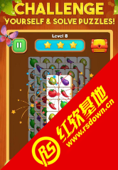 拼方块之王(King of Tiles)免费版