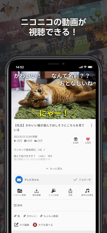 niconico网站入口（ニコニコ動画）安卓官方版图3