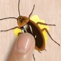 蟑螂总动员(Cockroach Smasher)
