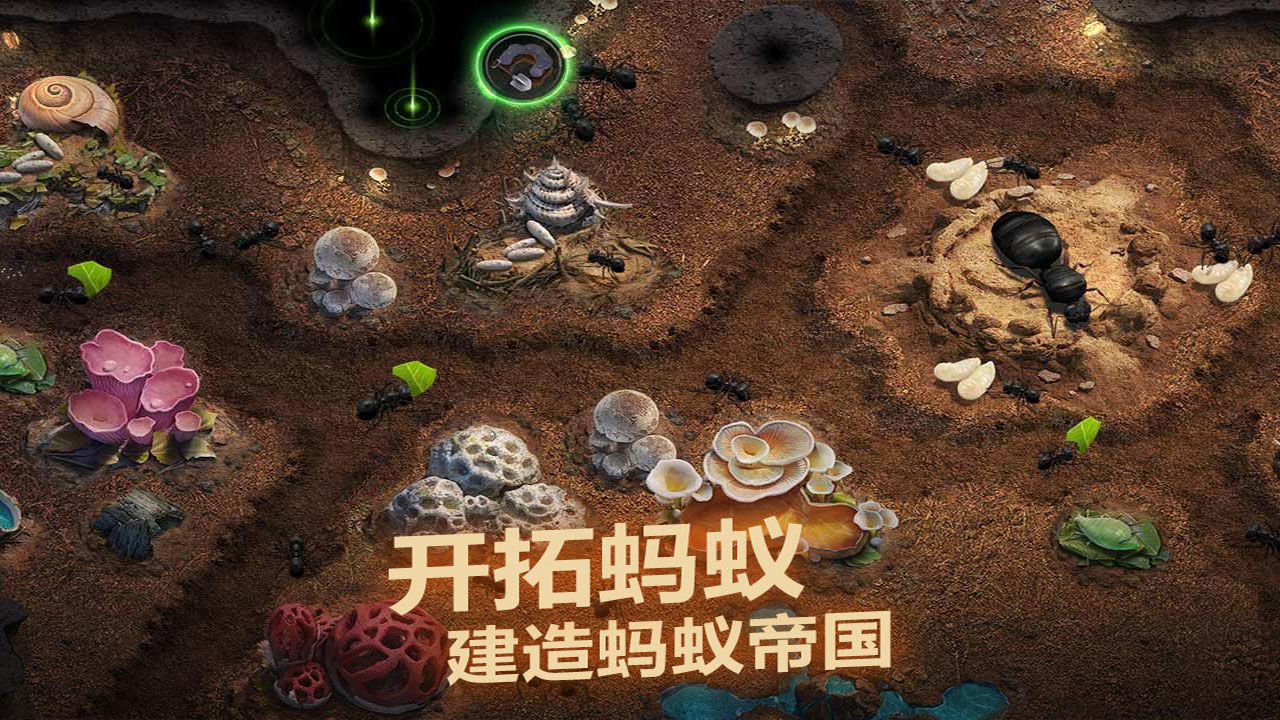 小小蚁国游戏图4