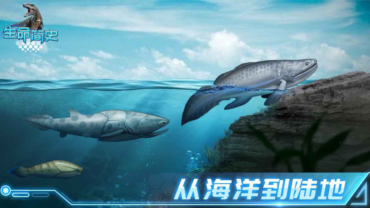 生命简史无敌版