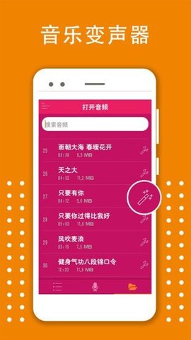 变音大师直装版