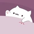 邦戈猫乐器大师(邦戈猫乐器)