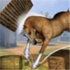 训练马匹模拟器(HorseGames)正版V1.1