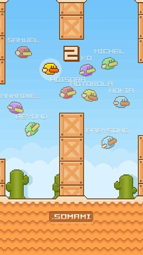 鸭子群飞(Flying MMO)游戏完整版(4)