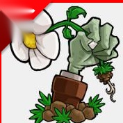 4c6H植物大战僵尸损版