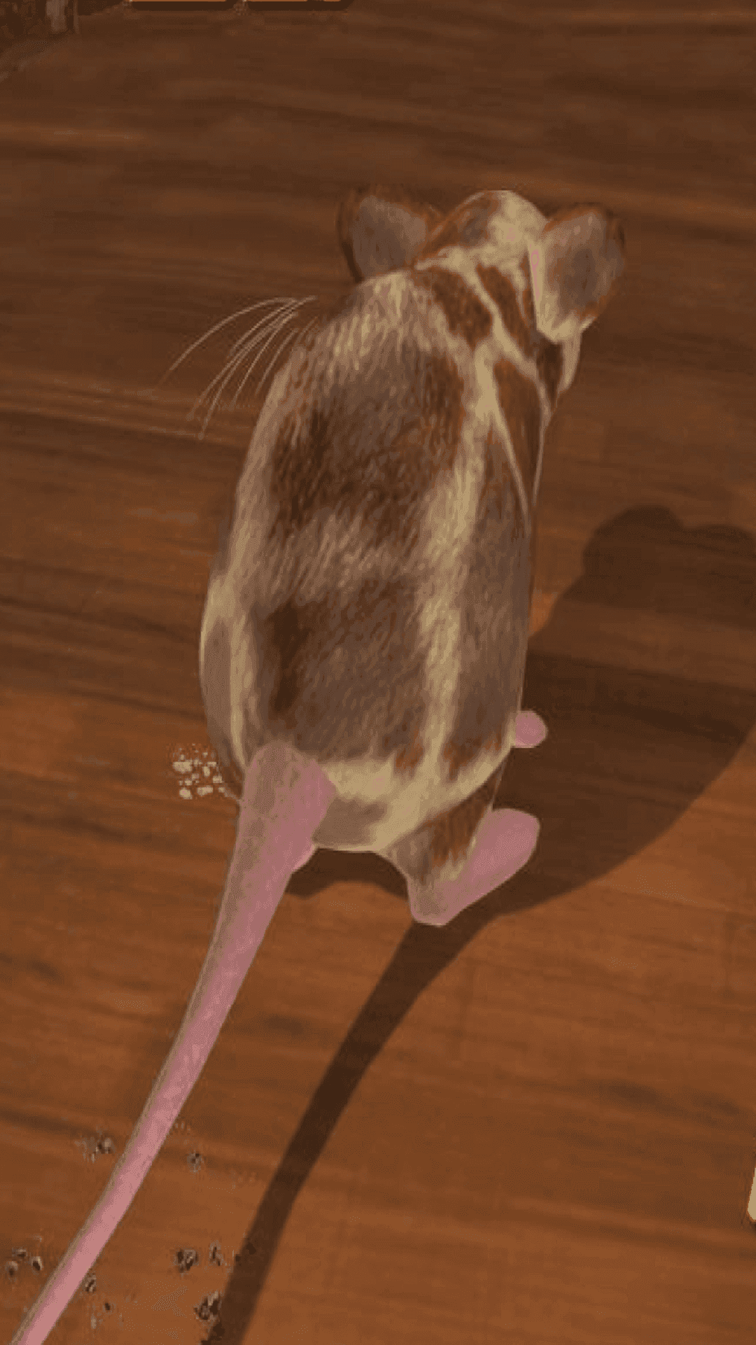 老鼠在家模拟3D原版图3