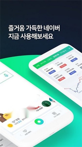 NAVER 图2