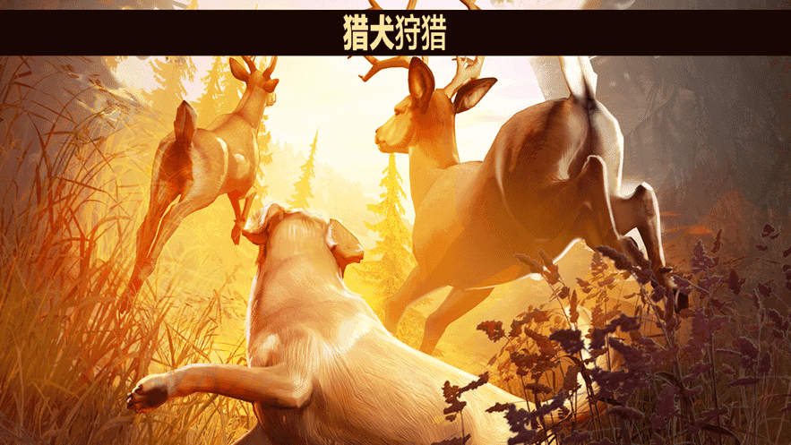猎鹿20(Animal Hunter)游戏安装包(2)
