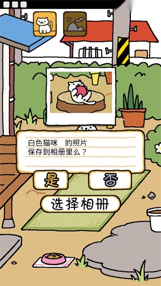猫咪后院 图2