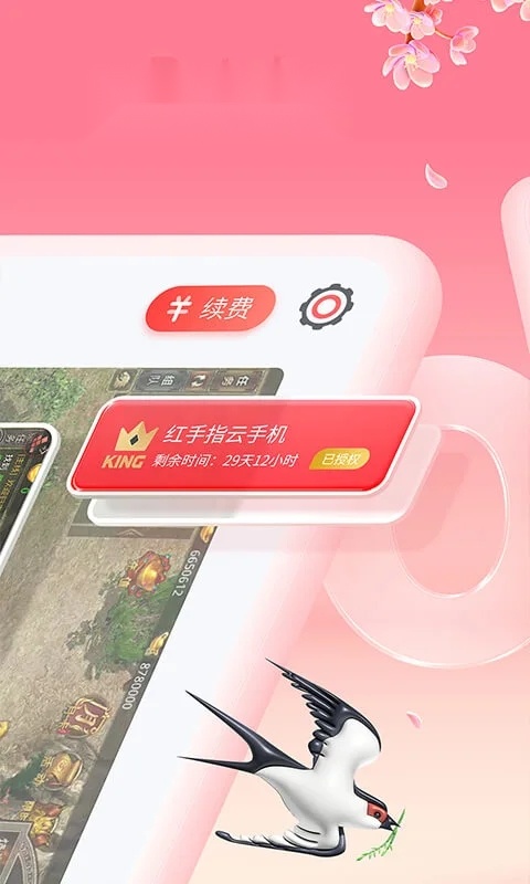 云王云  手机免费版