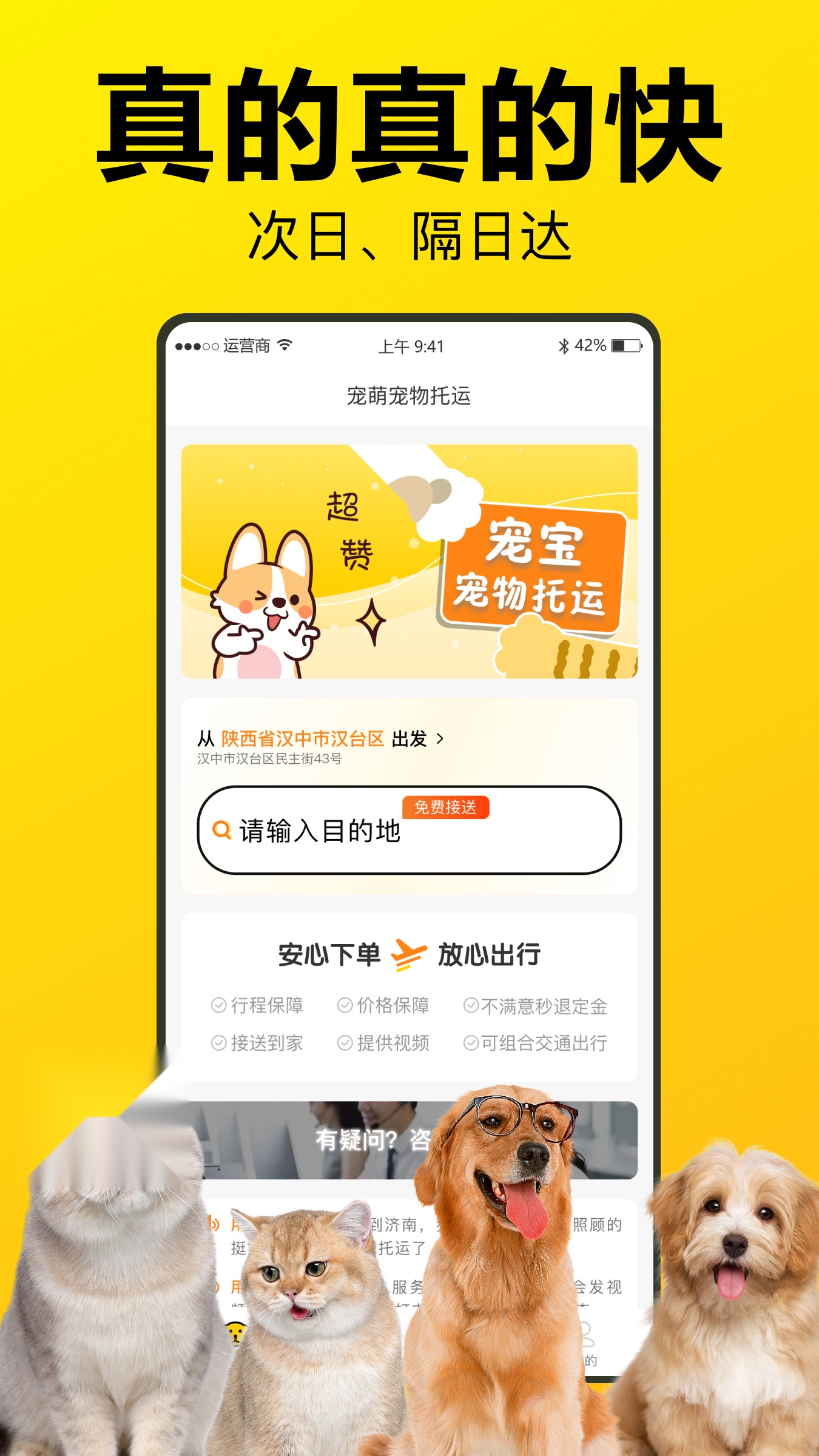 宠宝宠物托运免费版