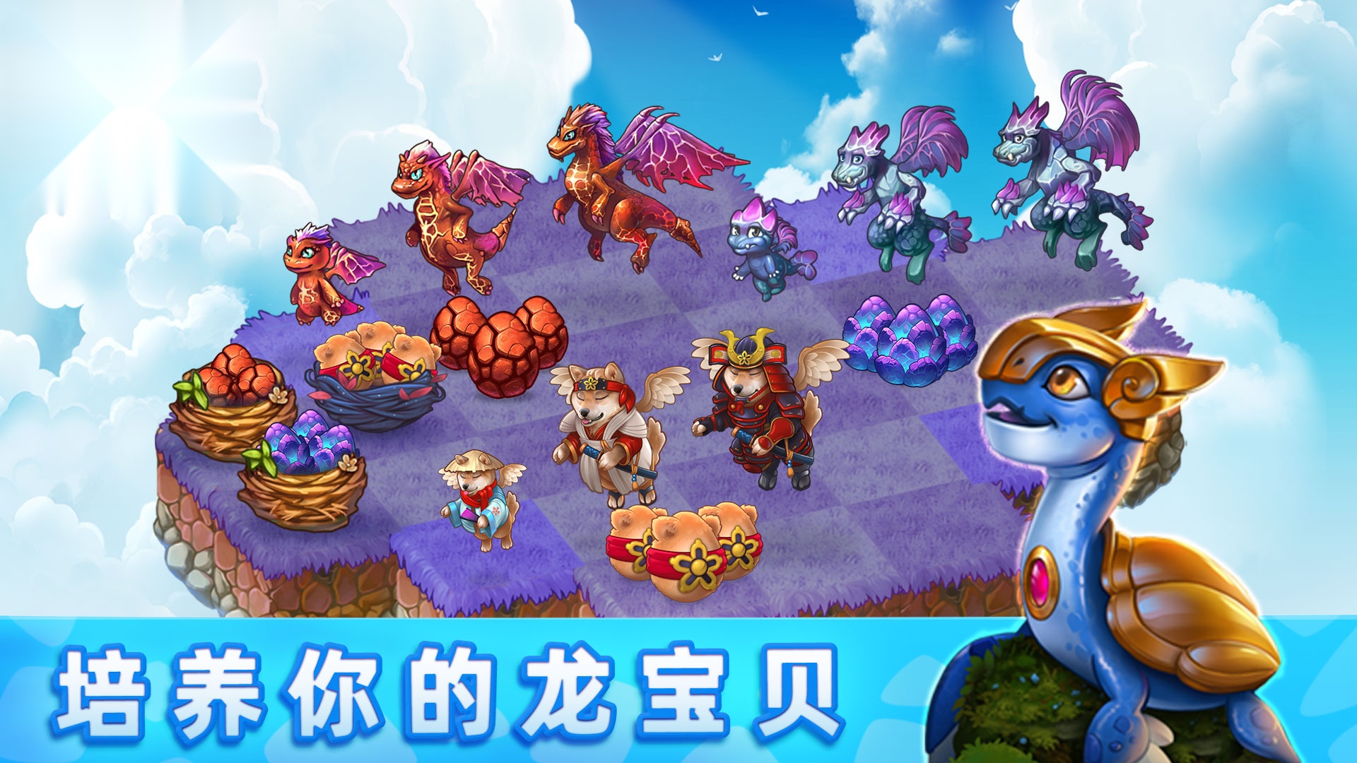 萌龙进化论 手游无广告版图2