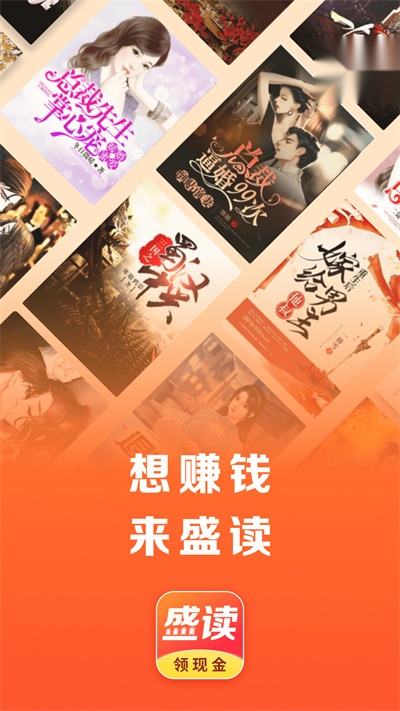 盛读小说 直装版