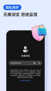 edge浏览器谷歌版(3)