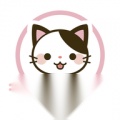 猫语翻译君 