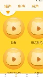 宠物翻译器安卓免费版图5